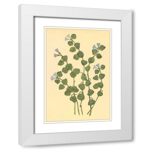 Patridge Berry White Modern Wood Framed Art Print with Double Matting by PI Collection