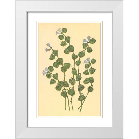 Patridge Berry White Modern Wood Framed Art Print with Double Matting by PI Collection