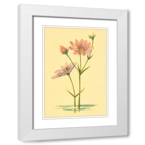 Sea Pink White Modern Wood Framed Art Print with Double Matting by PI Collection