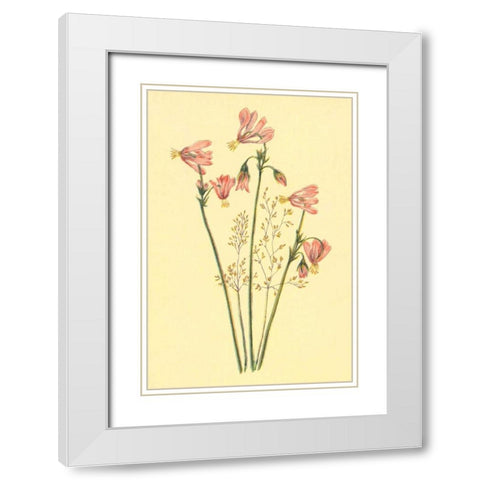 Shooting Star White Modern Wood Framed Art Print with Double Matting by PI Collection