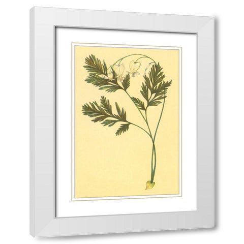 Squirrel Corn White Modern Wood Framed Art Print with Double Matting by PI Collection