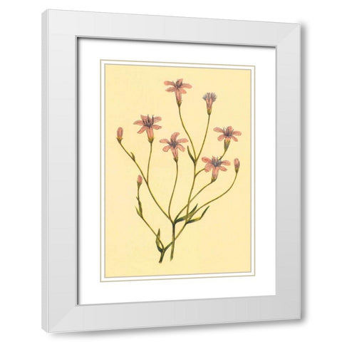Wheelers Chaetadelpha White Modern Wood Framed Art Print with Double Matting by PI Collection