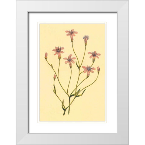 Wheelers Chaetadelpha White Modern Wood Framed Art Print with Double Matting by PI Collection