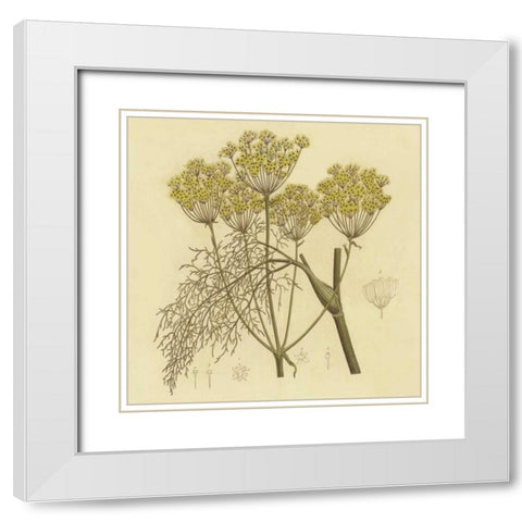 Yellow Weeds White Modern Wood Framed Art Print with Double Matting by PI Collection
