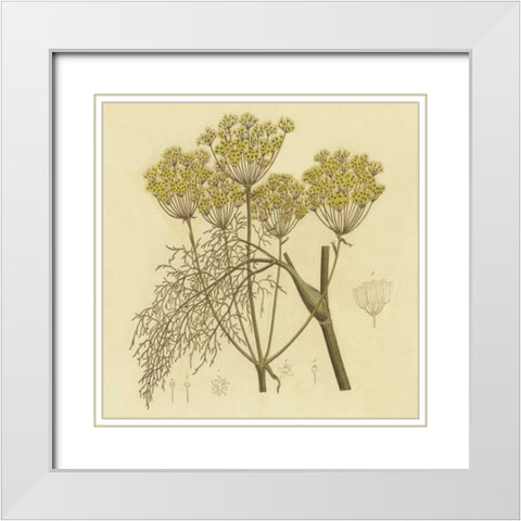 Yellow Weeds White Modern Wood Framed Art Print with Double Matting by PI Collection
