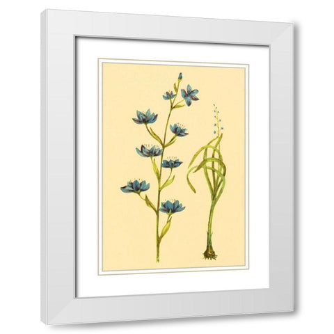 Zygadenus White Modern Wood Framed Art Print with Double Matting by PI Collection