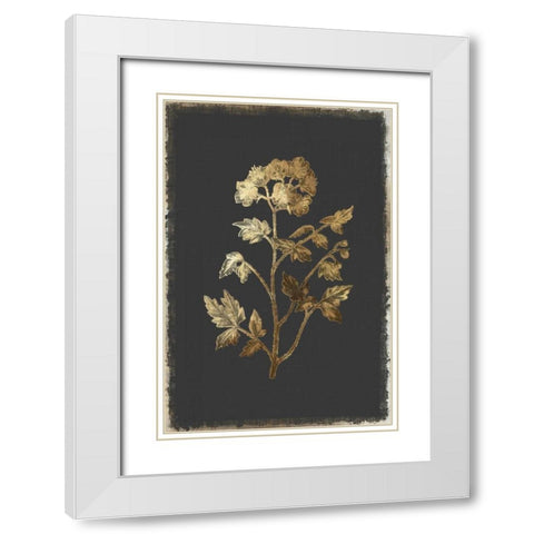 Cut Leaved Phacelia White Modern Wood Framed Art Print with Double Matting by PI Collection
