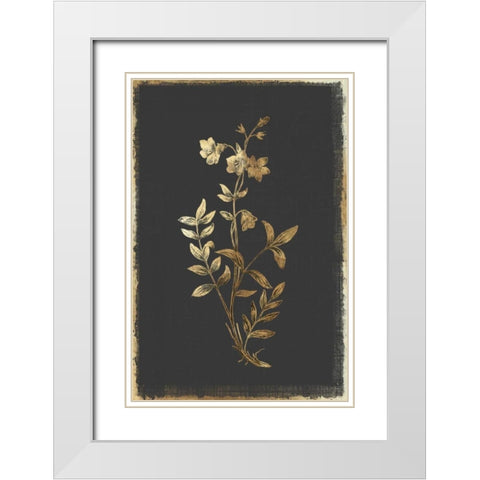 Greek Valerian White Modern Wood Framed Art Print with Double Matting by PI Collection