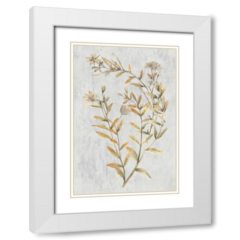 Busts Vol. IV Tav White Modern Wood Framed Art Print with Double Matting by PI Collection