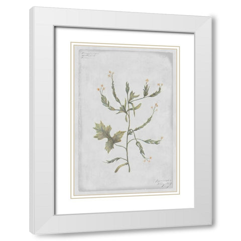 Hedge Mustard White Modern Wood Framed Art Print with Double Matting by PI Collection