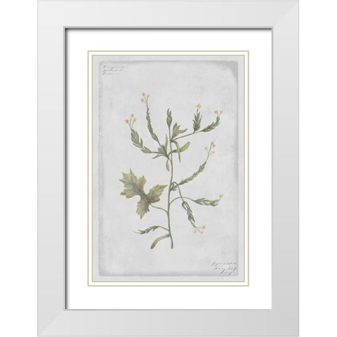 Hedge Mustard White Modern Wood Framed Art Print with Double Matting by PI Collection