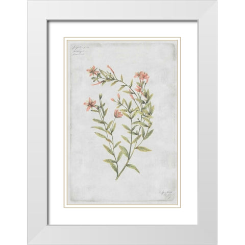 Buds Vol. IV Tav White Modern Wood Framed Art Print with Double Matting by PI Collection