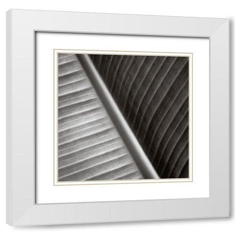 Pam Leaves II White Modern Wood Framed Art Print with Double Matting by Cotter, Rick