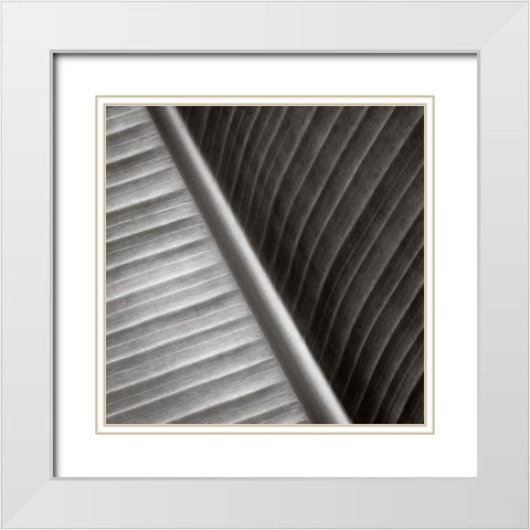 Pam Leaves II White Modern Wood Framed Art Print with Double Matting by Cotter, Rick