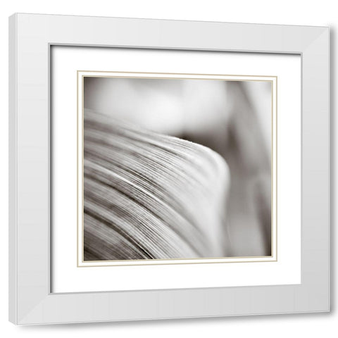 Wave Leaf III White Modern Wood Framed Art Print with Double Matting by Cotter, Rick