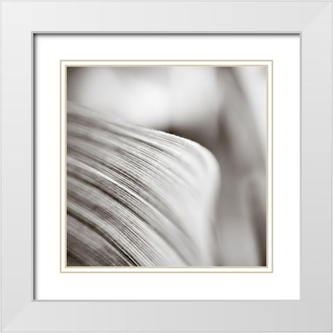 Wave Leaf III White Modern Wood Framed Art Print with Double Matting by Cotter, Rick