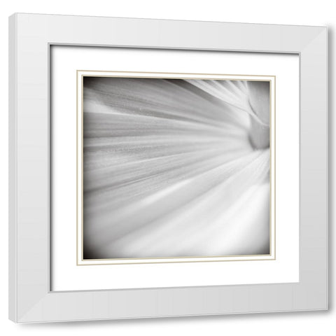 Wave Leaf IV White Modern Wood Framed Art Print with Double Matting by Cotter, Rick