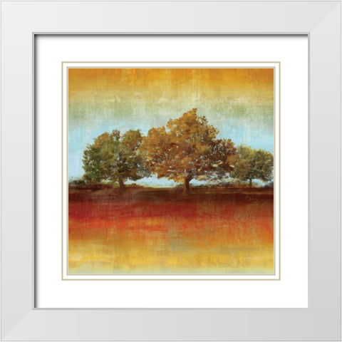 All Aglow I White Modern Wood Framed Art Print with Double Matting by Reeves, Tom