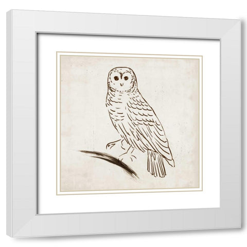 Owl I White Modern Wood Framed Art Print with Double Matting by Reeves, Tom