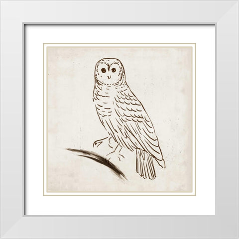 Owl I White Modern Wood Framed Art Print with Double Matting by Reeves, Tom