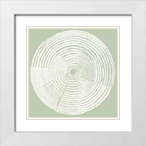 Circles of Life I White Modern Wood Framed Art Print with Double Matting by Reeves, Tom