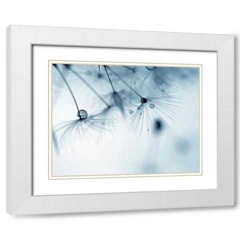Jewels II White Modern Wood Framed Art Print with Double Matting by Cozart, Rebecca