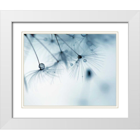 Jewels II White Modern Wood Framed Art Print with Double Matting by Cozart, Rebecca