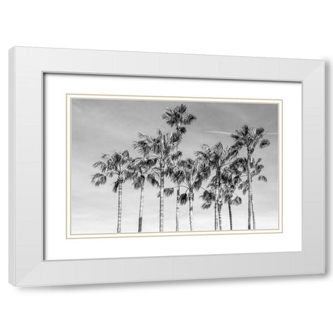 California Palms III White Modern Wood Framed Art Print with Double Matting by Silver, Richard