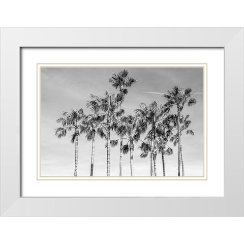 California Palms III White Modern Wood Framed Art Print with Double Matting by Silver, Richard
