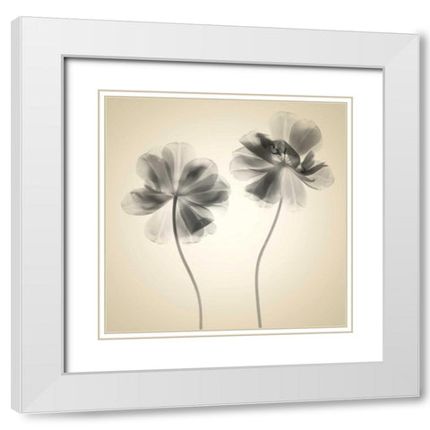 Soft I White Modern Wood Framed Art Print with Double Matting by Stalus, Judy