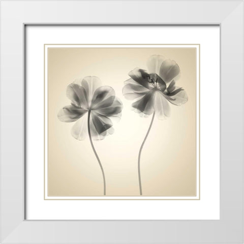 Soft I White Modern Wood Framed Art Print with Double Matting by Stalus, Judy