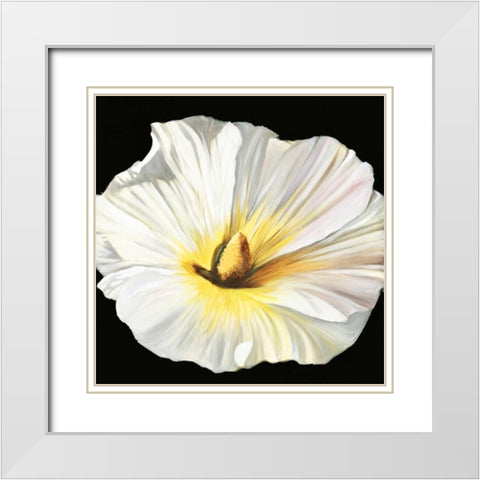 White Bloom II White Modern Wood Framed Art Print with Double Matting by Iafrate, Sandra