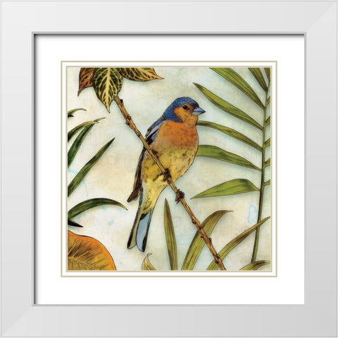 Jungle Bird II White Modern Wood Framed Art Print with Double Matting by Selkirk, Edward