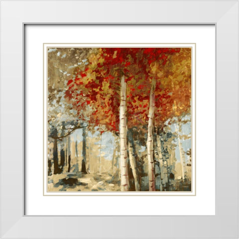 Frontier II White Modern Wood Framed Art Print with Double Matting by Selkirk, Edward