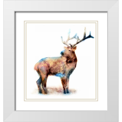 Elk White Modern Wood Framed Art Print with Double Matting by Selkirk, Edward