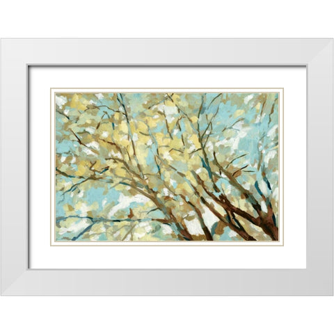 View From Below White Modern Wood Framed Art Print with Double Matting by Selkirk, Edward