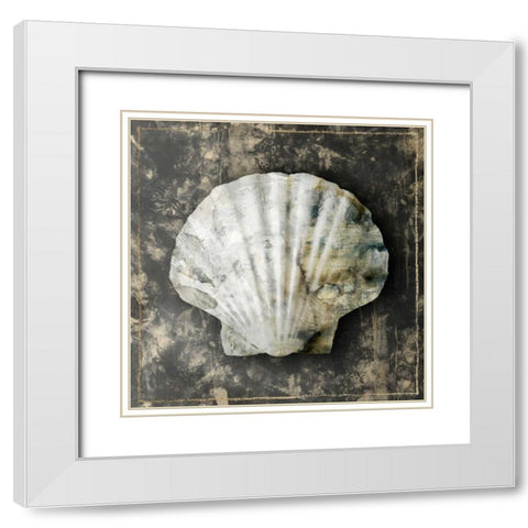 Marble Shell Series IV White Modern Wood Framed Art Print with Double Matting by Selkirk, Edward