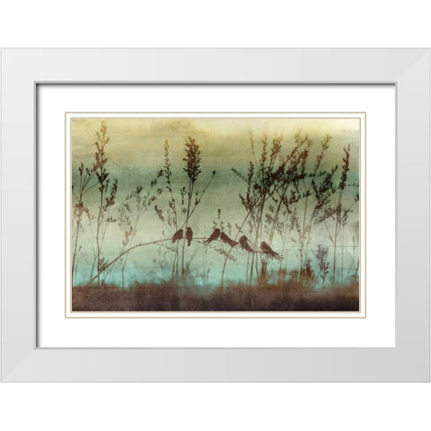 Louisianna White Modern Wood Framed Art Print with Double Matting by Selkirk, Edward