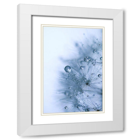 Blue Dandelion White Modern Wood Framed Art Print with Double Matting by Schwartz, Sherstin