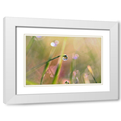 Waterdrop White Modern Wood Framed Art Print with Double Matting by Cook, Sylvia
