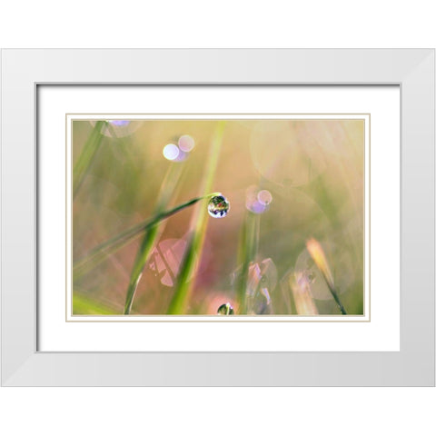 Waterdrop White Modern Wood Framed Art Print with Double Matting by Cook, Sylvia