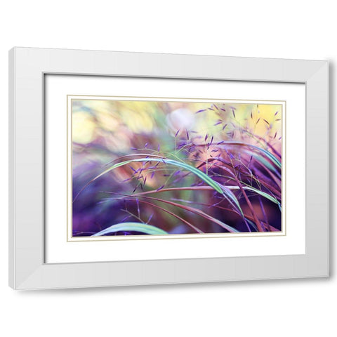 Purple grass White Modern Wood Framed Art Print with Double Matting by Cook, Sylvia