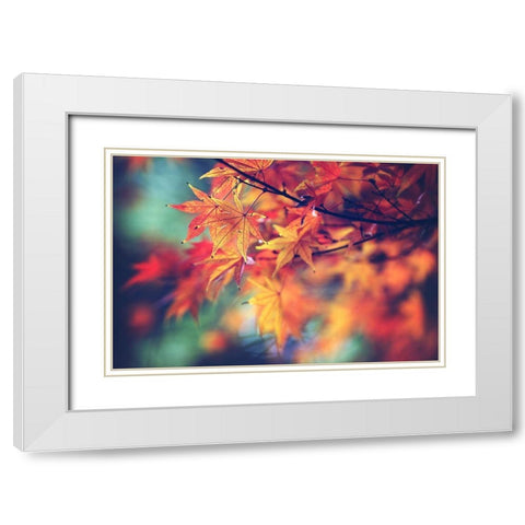 Fall Leaves White Modern Wood Framed Art Print with Double Matting by Cook, Sylvia