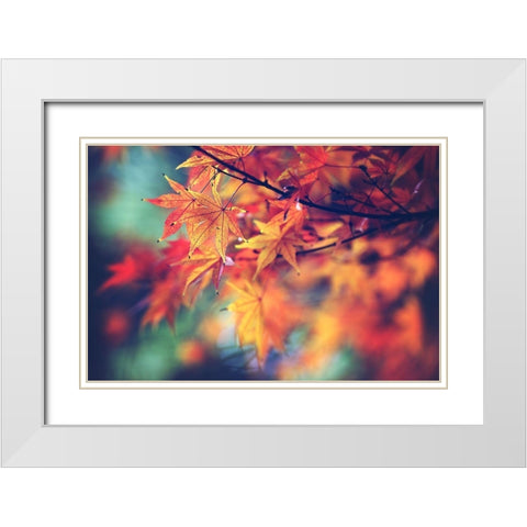 Fall Leaves White Modern Wood Framed Art Print with Double Matting by Cook, Sylvia