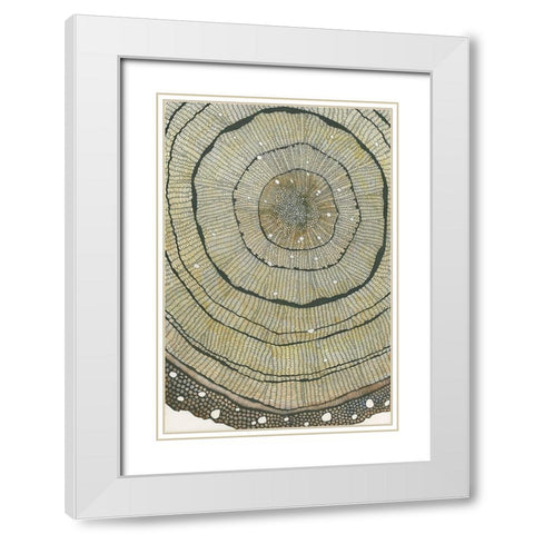 Fir White Modern Wood Framed Art Print with Double Matting by Pellisier, Sandrine