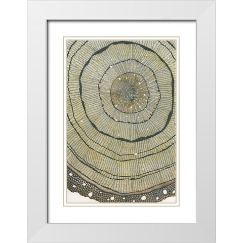 Fir White Modern Wood Framed Art Print with Double Matting by Pellisier, Sandrine