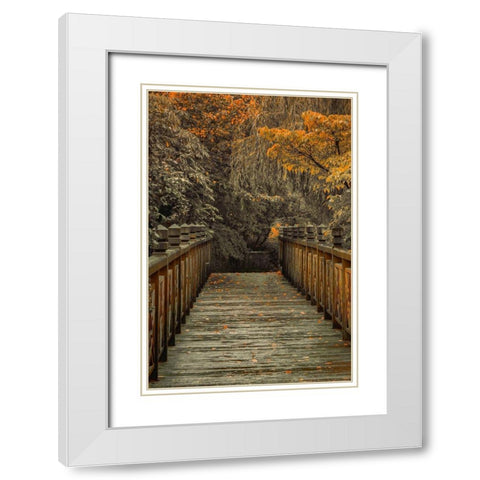 Across the Bridge White Modern Wood Framed Art Print with Double Matting by Schwartz, Don