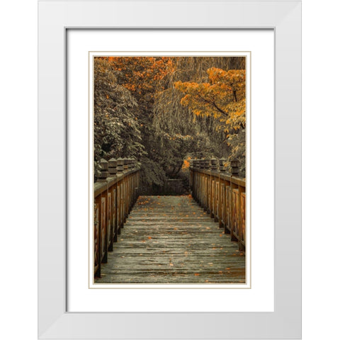 Across the Bridge White Modern Wood Framed Art Print with Double Matting by Schwartz, Don