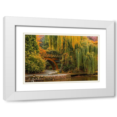 Willows Over the Pond White Modern Wood Framed Art Print with Double Matting by Schwartz, Don