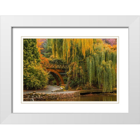 Willows Over the Pond White Modern Wood Framed Art Print with Double Matting by Schwartz, Don